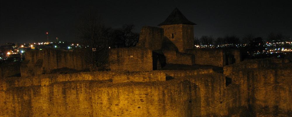 Suceava fortress by night